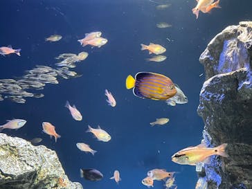 サンシャイン水族館に投稿された画像（2022/5/8）