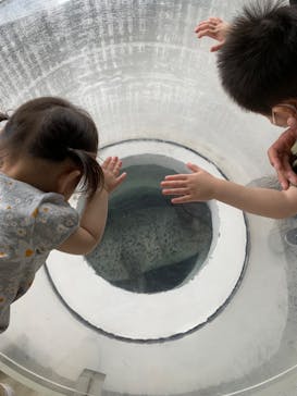 しながわ水族館に投稿された画像（2022/5/8）