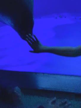 サンシャイン水族館に投稿された画像（2022/5/8）