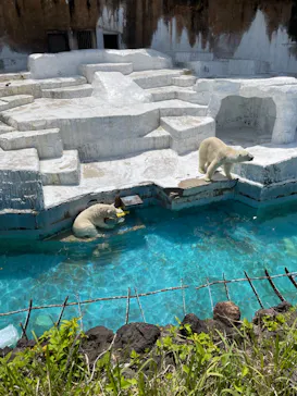 天王寺動物園に投稿された画像（2022/5/8）