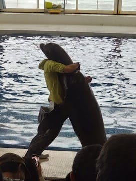 アクアワールド茨城県大洗水族館に投稿された画像（2022/5/8）