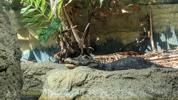 天王寺動物園に投稿された画像（2022/5/8）