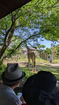 天王寺動物園に投稿された画像（2022/5/8）