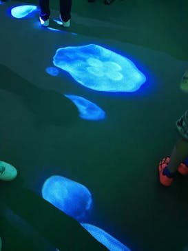 島根県立 しまね海洋館に投稿された画像（2022/5/8）