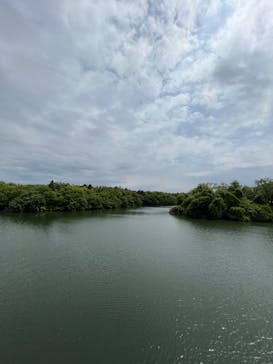 千葉こどもの国 キッズダムに投稿された画像（2022/5/8）