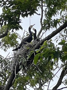 千葉こどもの国 キッズダムに投稿された画像（2022/5/8）