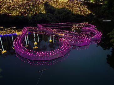 美らヤシパークオキナワ・東南植物楽園に投稿された画像（2022/5/8）