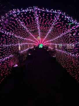 美らヤシパークオキナワ・東南植物楽園に投稿された画像（2022/5/8）