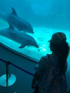 名古屋港水族館に投稿された画像（2022/5/8）