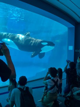 名古屋港水族館に投稿された画像（2022/5/8）