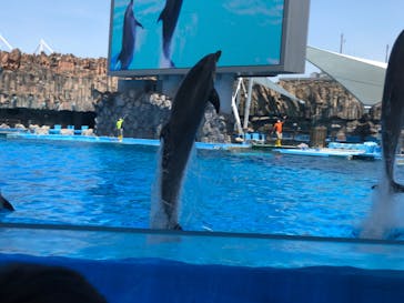 名古屋港水族館に投稿された画像（2022/5/8）