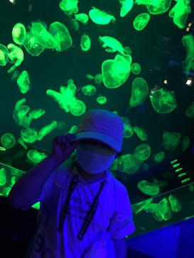 名古屋港水族館に投稿された画像（2022/5/8）