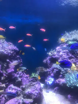 横浜・八景島シーパラダイスに投稿された画像（2022/5/8）