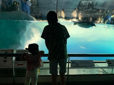 名古屋港水族館に投稿された画像（2022/5/8）