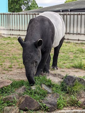 東武動物公園に投稿された画像（2022/5/8）