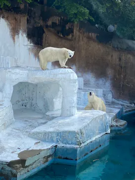 天王寺動物園に投稿された画像（2022/5/8）