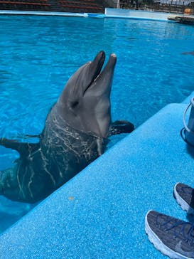 南知多ビーチランド＆南知多おもちゃ王国に投稿された画像（2022/5/8）