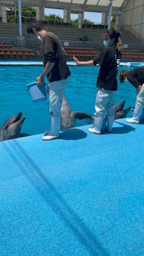 南知多ビーチランド＆南知多おもちゃ王国に投稿された画像（2022/5/8）