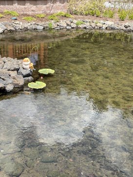 富士芝桜まつり(富士本栖湖リゾート)に投稿された画像（2022/5/8）