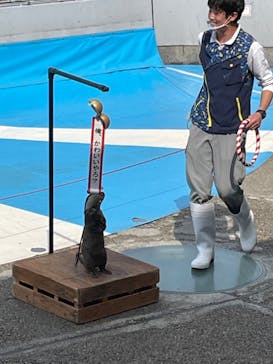 大分マリーンパレス水族館 「うみたまご」に投稿された画像（2022/5/8）