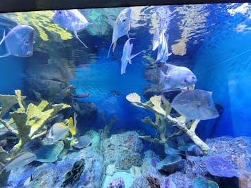 サンシャイン水族館に投稿された画像（2022/5/8）