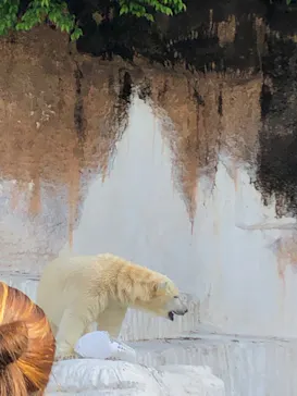 天王寺動物園に投稿された画像（2022/5/8）