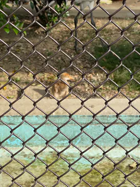 天王寺動物園に投稿された画像（2022/5/8）