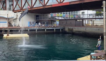 伊豆・三津シーパラダイスに投稿された画像（2022/5/8）