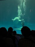 島根県立 しまね海洋館に投稿された画像（2022/5/8）