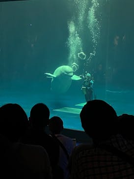 島根県立 しまね海洋館に投稿された画像（2022/5/8）