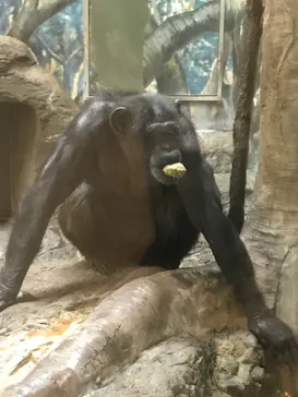 天王寺動物園に投稿された画像（2022/5/8）