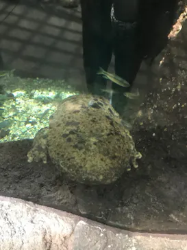 天王寺動物園に投稿された画像（2022/5/8）