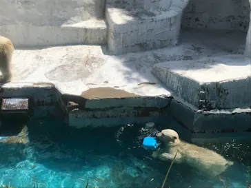 天王寺動物園に投稿された画像（2022/5/8）