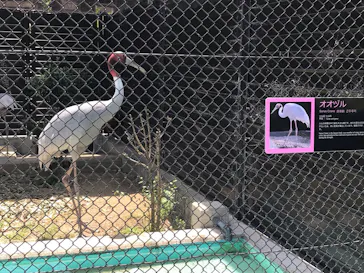 天王寺動物園に投稿された画像（2022/5/8）