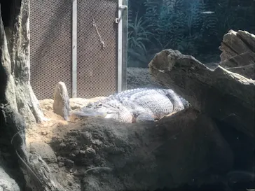 天王寺動物園に投稿された画像（2022/5/8）