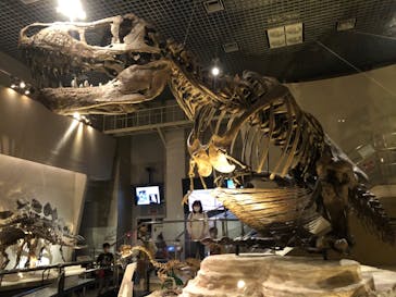 国立科学博物館に投稿された画像（2022/5/8）