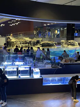 すみだ水族館に投稿された画像（2022/5/8）