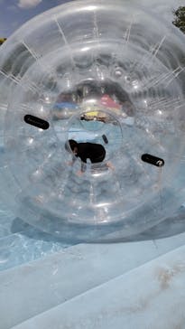 千葉こどもの国 キッズダムに投稿された画像（2022/5/8）