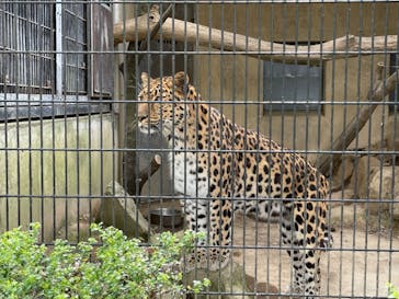 群馬サファリパークに投稿された画像（2022/5/8）