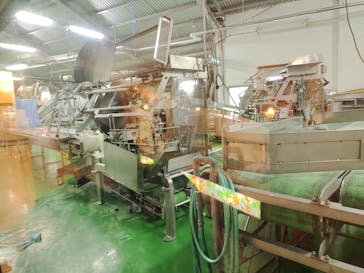 ナゴパイナップルパークに投稿された画像（2022/5/8）