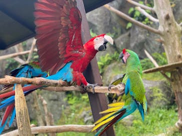伊豆シャボテン動物公園に投稿された画像（2022/5/8）