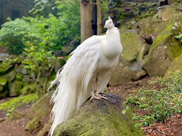 伊豆シャボテン動物公園に投稿された画像（2022/5/8）