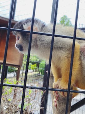 伊豆シャボテン動物公園に投稿された画像（2022/5/8）
