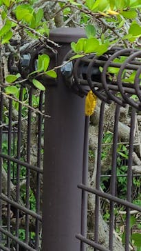 ネオパークオキナワに投稿された画像（2022/5/8）