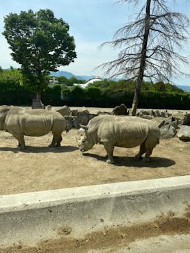 群馬サファリパークに投稿された画像（2022/5/9）