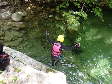 自然派企画に投稿された画像（2022/5/8）