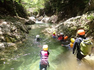 自然派企画に投稿された画像（2022/5/8）