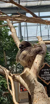 神戸どうぶつ王国に投稿された画像（2022/5/9）