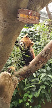 神戸どうぶつ王国に投稿された画像（2022/5/9）