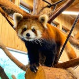 伊豆シャボテン動物公園に投稿された画像（2022/5/9）